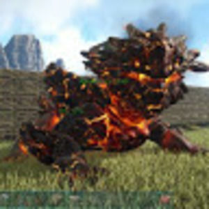 Meet your Posher, Demetrius